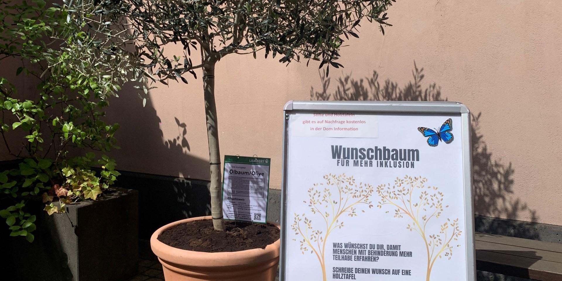 Der Wunschbaum wird im Innenhof der Dominformation und im Gartenzentrum LAMBERT zu finden sein.