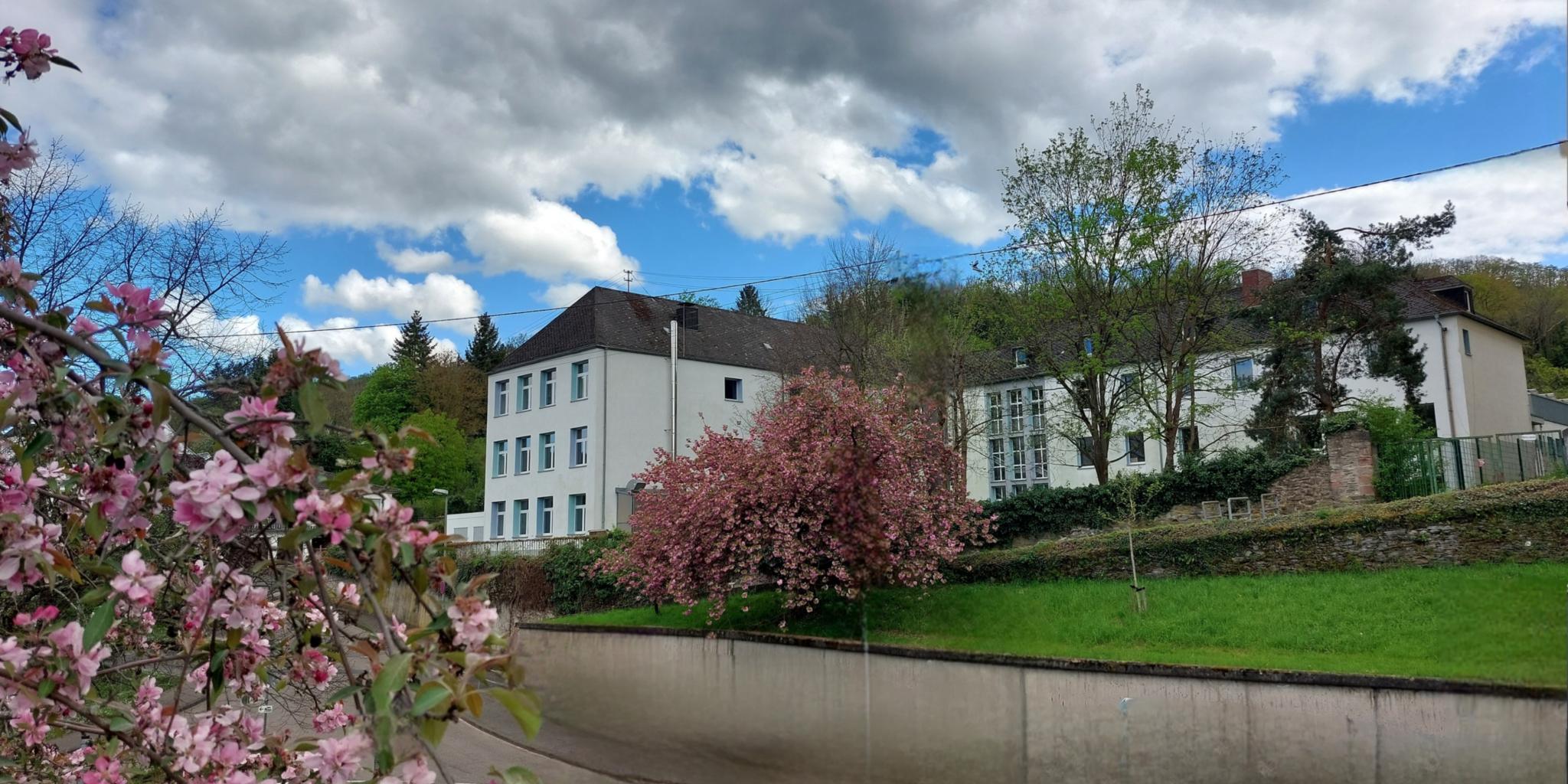 Die Bischöfliche Realschule Marienberg Boppard