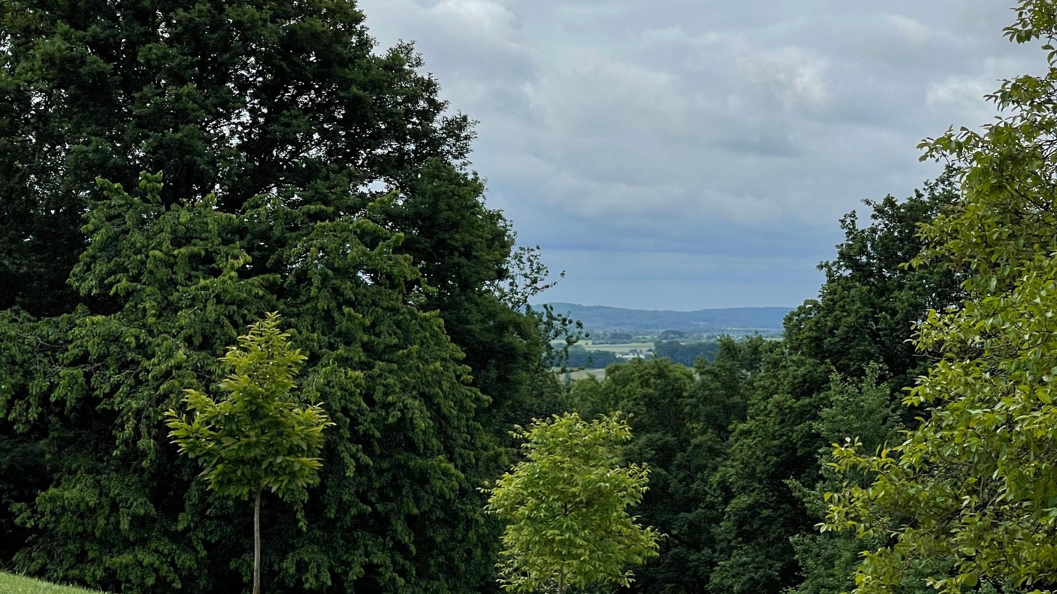 Landschaft in Oberthal