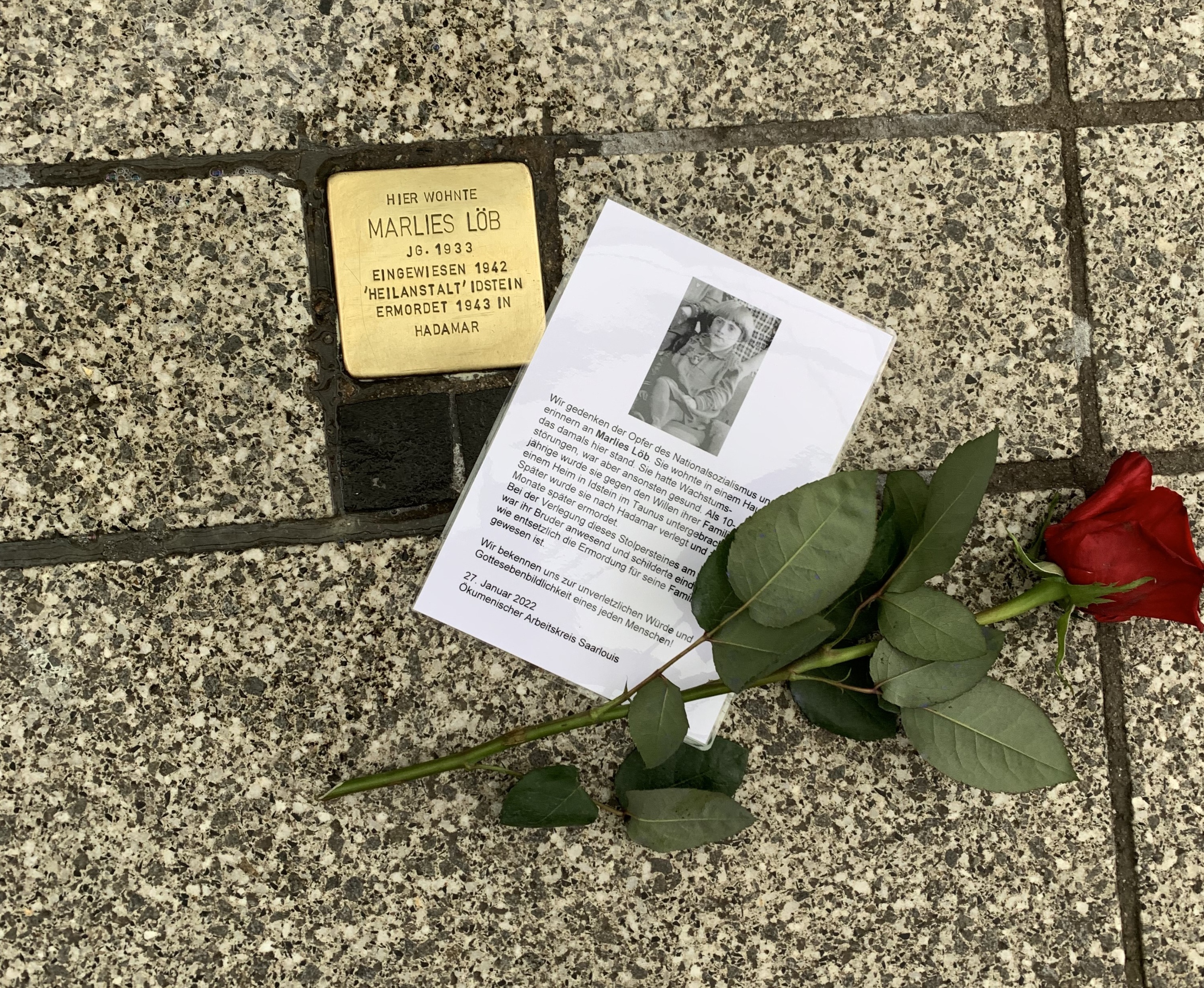 Am Stolperstein für die ermordete Marlies Löb legen Mitglieder des Ökumenischen Arbeitskreises eine Rose sowie Informationen zur Biographie nieder. Foto: uk