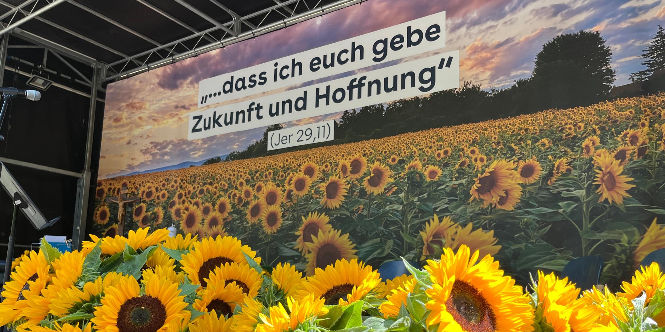 Die Sonnenblumen sind als Hoffnungszeichen in Ahrbrück beim ersten Jahresgedenken verteilt worden.