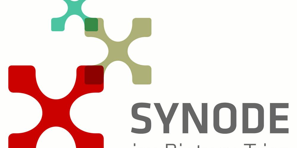 synode_logo_www.jpg
